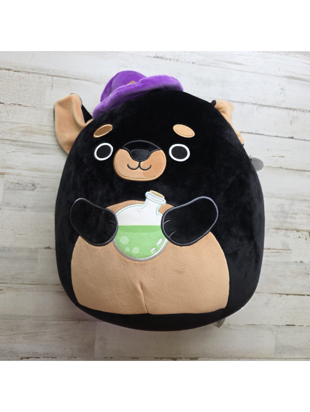 NEW Squishmallows 12" MATEO Rottweiler Black TanDog Potion Witch's Hat Halloween